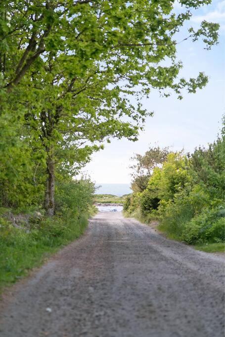 Cozy Cottage By The Sea South Of Varberg Traslovslage Esterno foto